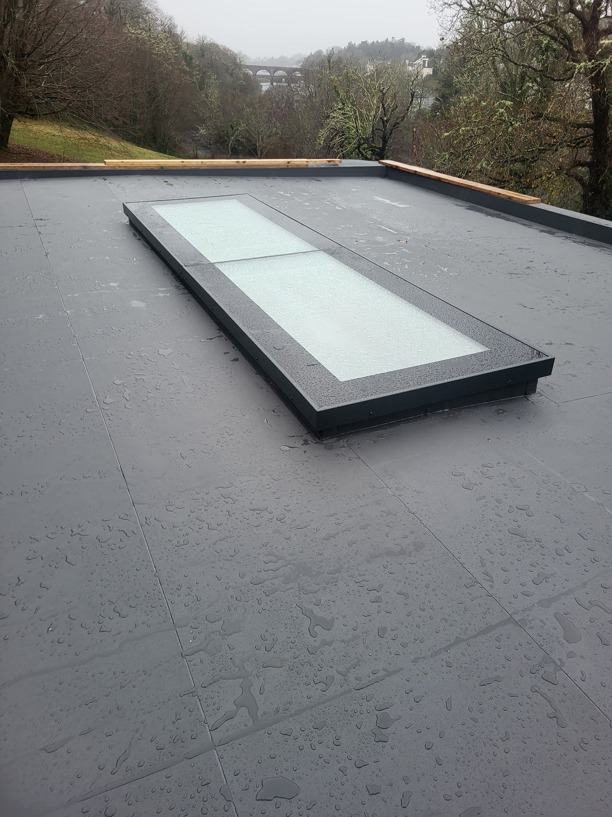 Long BI rooflight on a flat roof